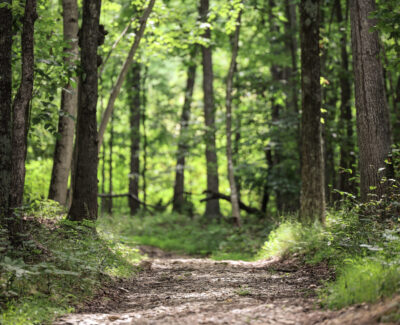 endless-caverns-hiking-9581 2