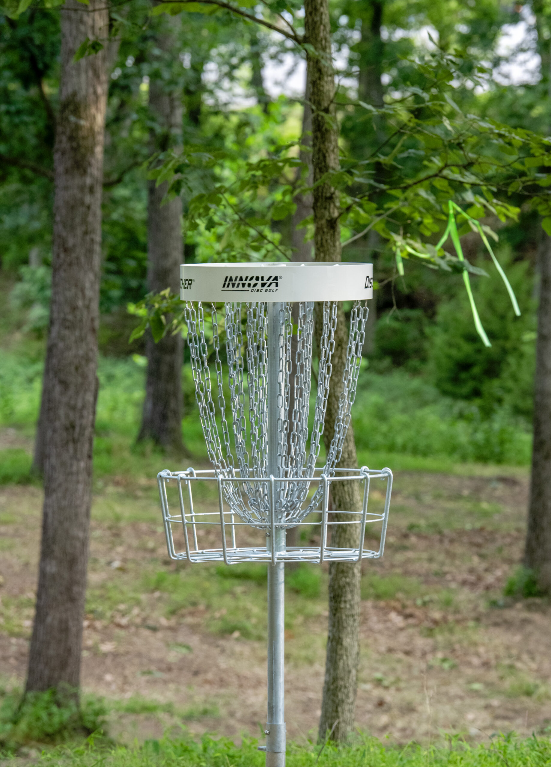 Disc Golf Hole at Endless Caverns