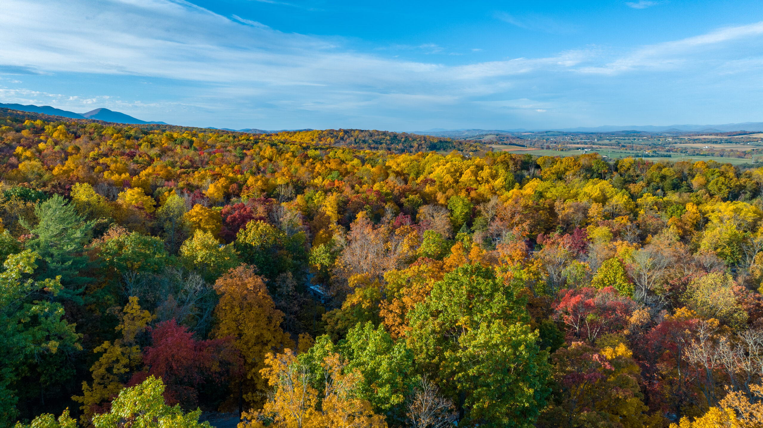 Fall Foliage Views at Endless Caverns