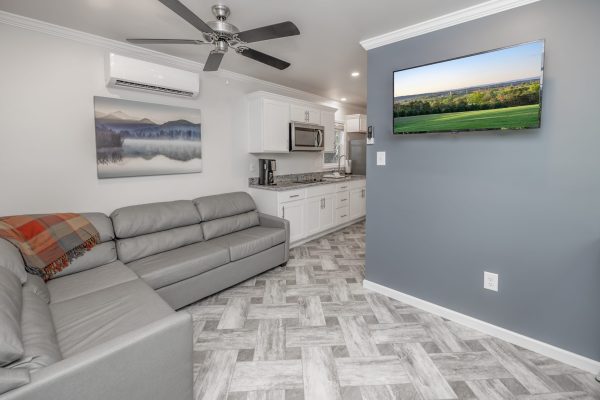 Cabin Living Room